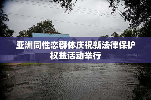 亚洲同性恋群体庆祝新法律保护权益活动举行
