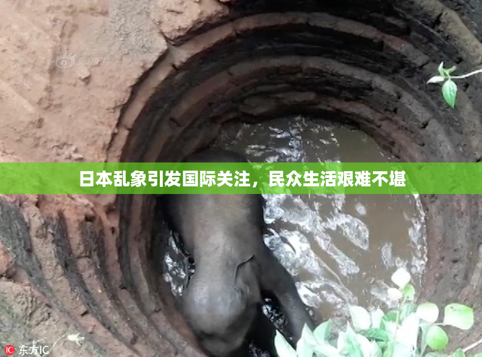 日本乱象引发国际关注，民众生活艰难不堪