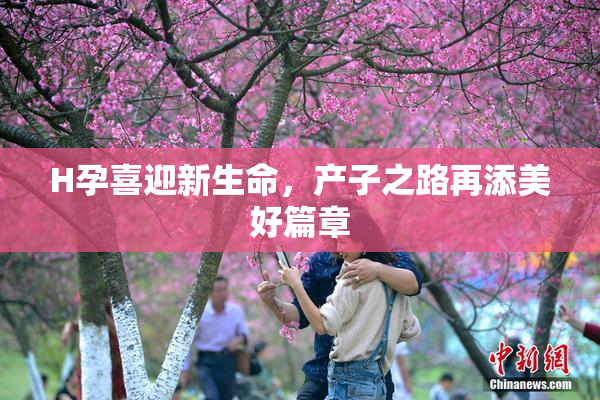 H孕喜迎新生命，产子之路再添美好篇章