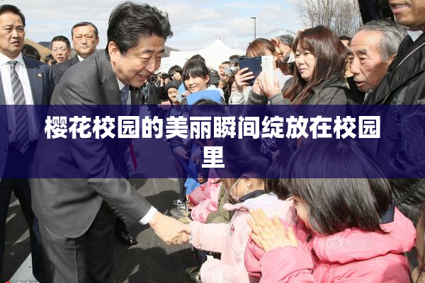 樱花校园的美丽瞬间绽放在校园里