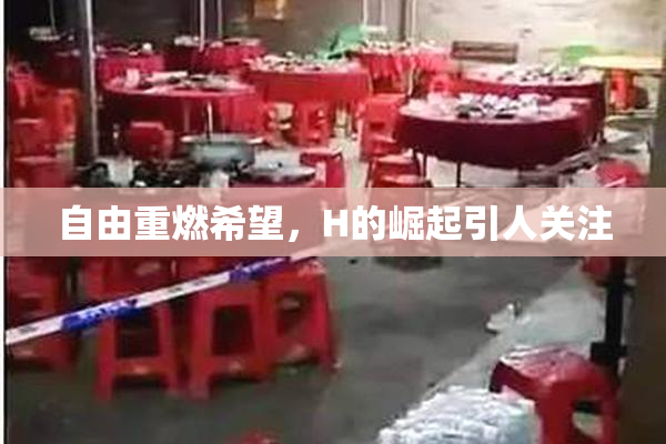 自由重燃希望，H的崛起引人关注