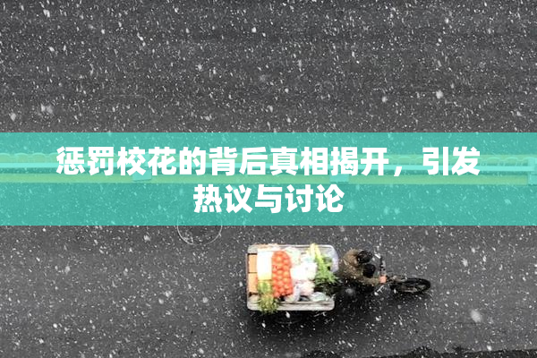 惩罚校花的背后真相揭开，引发热议与讨论