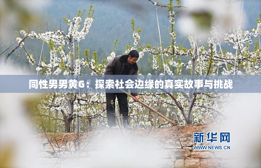 同性男男黄G：探索社会边缘的真实故事与挑战