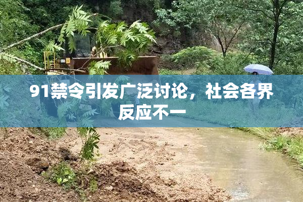 91禁令引发广泛讨论，社会各界反应不一