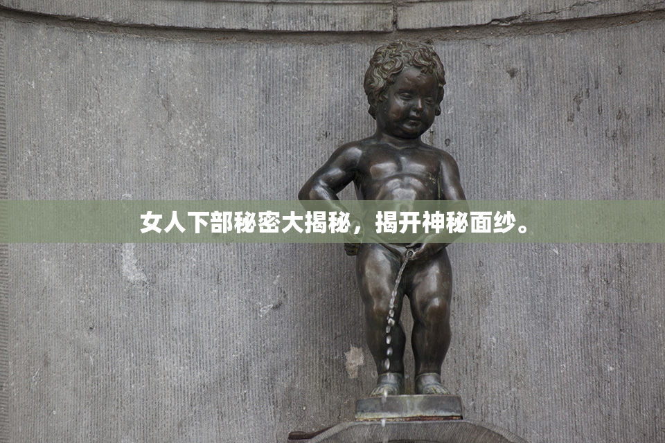 女人下部秘密大揭秘，揭开神秘面纱。