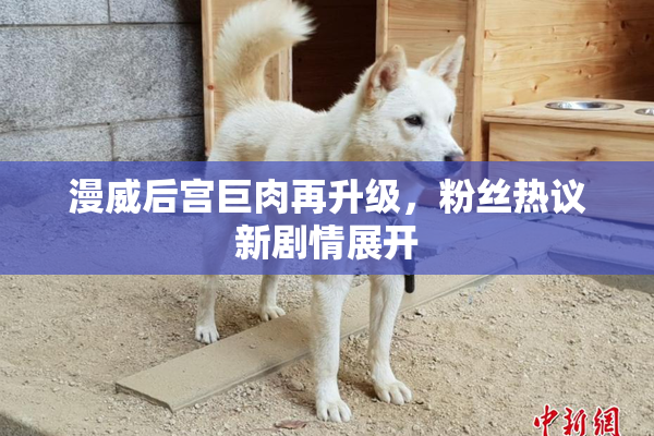 漫威后宫巨肉再升级，粉丝热议新剧情展开