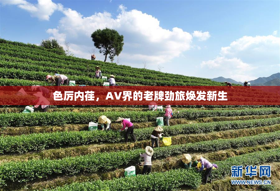 色厉内荏，AV界的老牌劲旅焕发新生