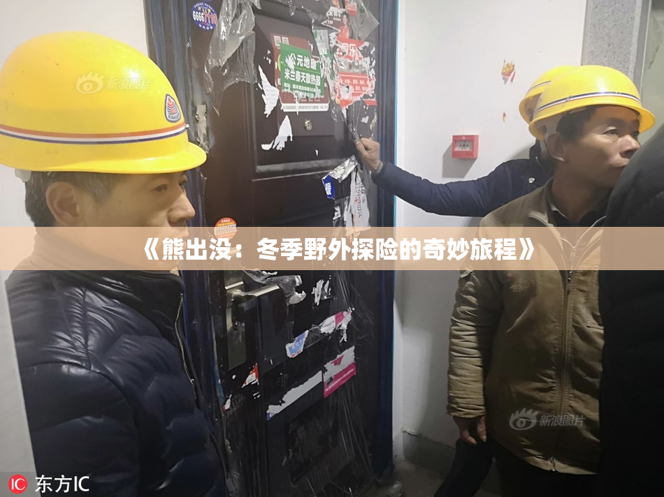 《熊出没：冬季野外探险的奇妙旅程》