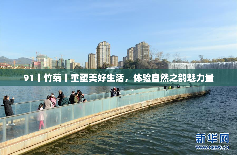 91丨竹菊丨重塑美好生活，体验自然之韵魅力量