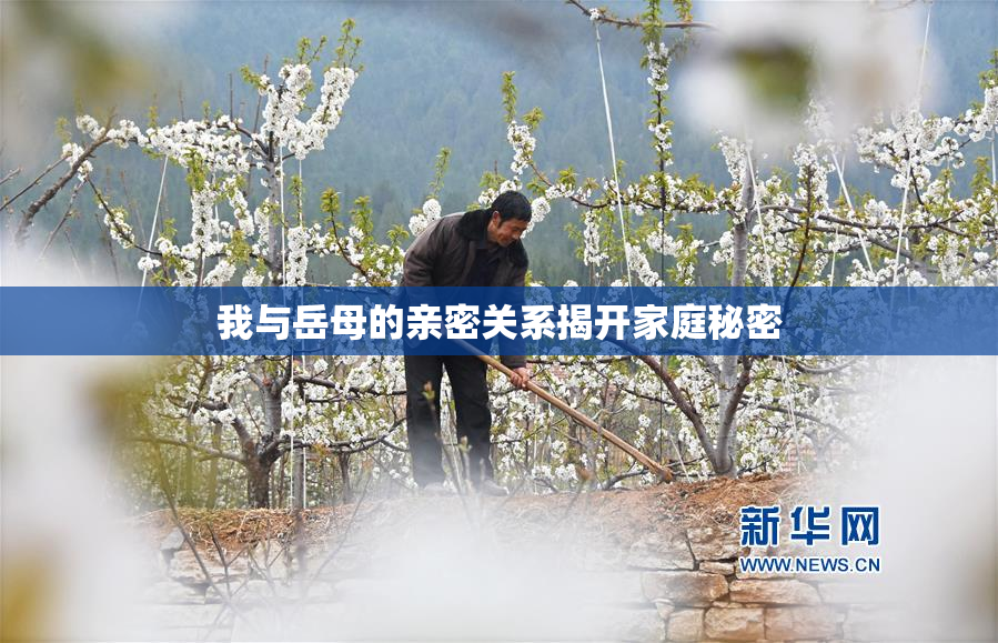 我与岳母的亲密关系揭开家庭秘密