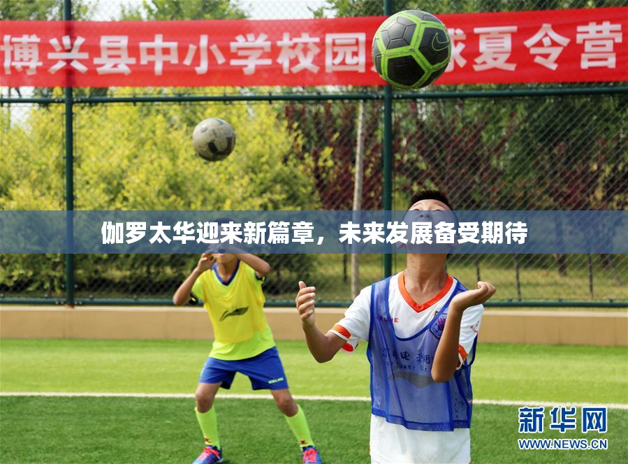 伽罗太华迎来新篇章，未来发展备受期待