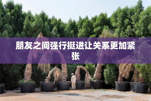 朋友之间强行挺进让关系更加紧张