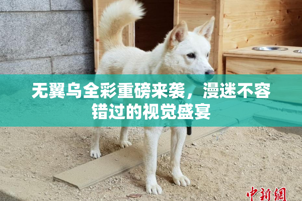无翼乌全彩重磅来袭，漫迷不容错过的视觉盛宴