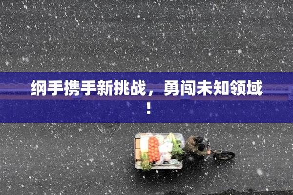 纲手携手新挑战，勇闯未知领域！