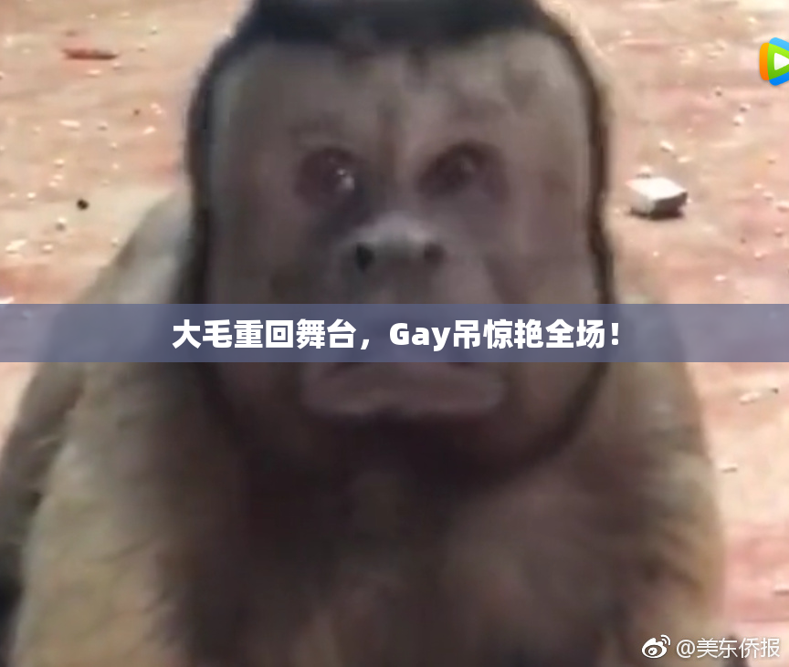大毛重回舞台，Gay吊惊艳全场！