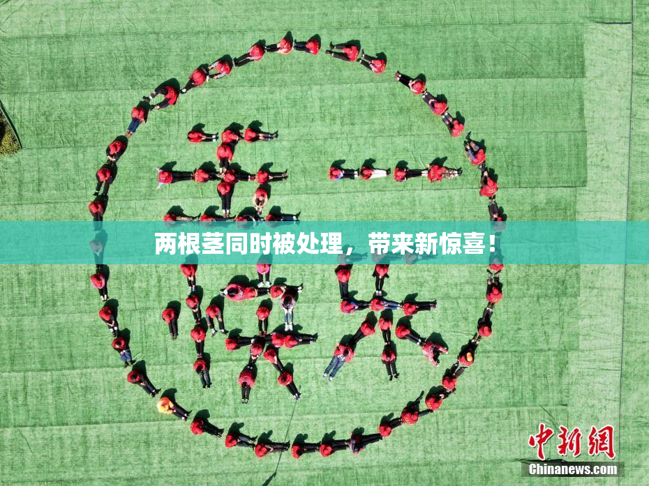 两根茎同时被处理，带来新惊喜！
