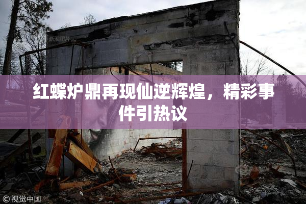 红蝶炉鼎再现仙逆辉煌，精彩事件引热议