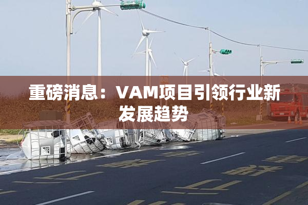 重磅消息：VAM项目引领行业新发展趋势