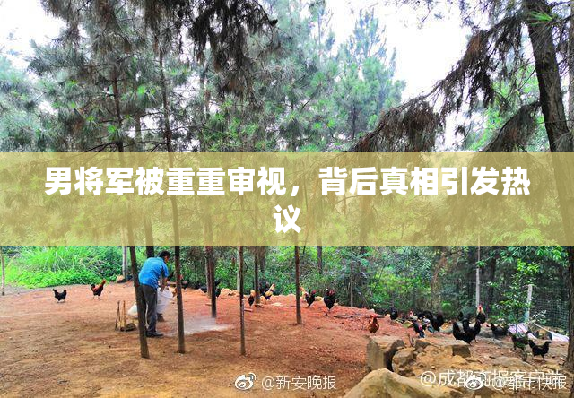 男将军被重重审视，背后真相引发热议