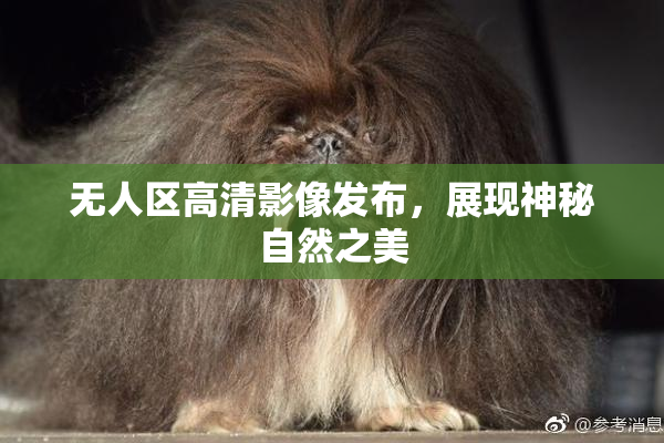 无人区高清影像发布，展现神秘自然之美