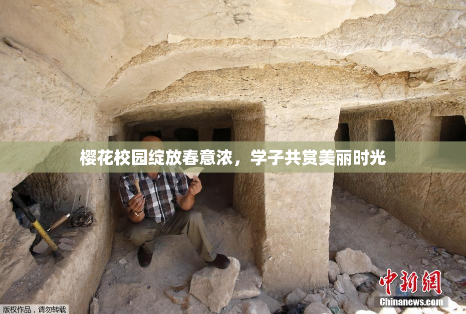 樱花校园绽放春意浓，学子共赏美丽时光