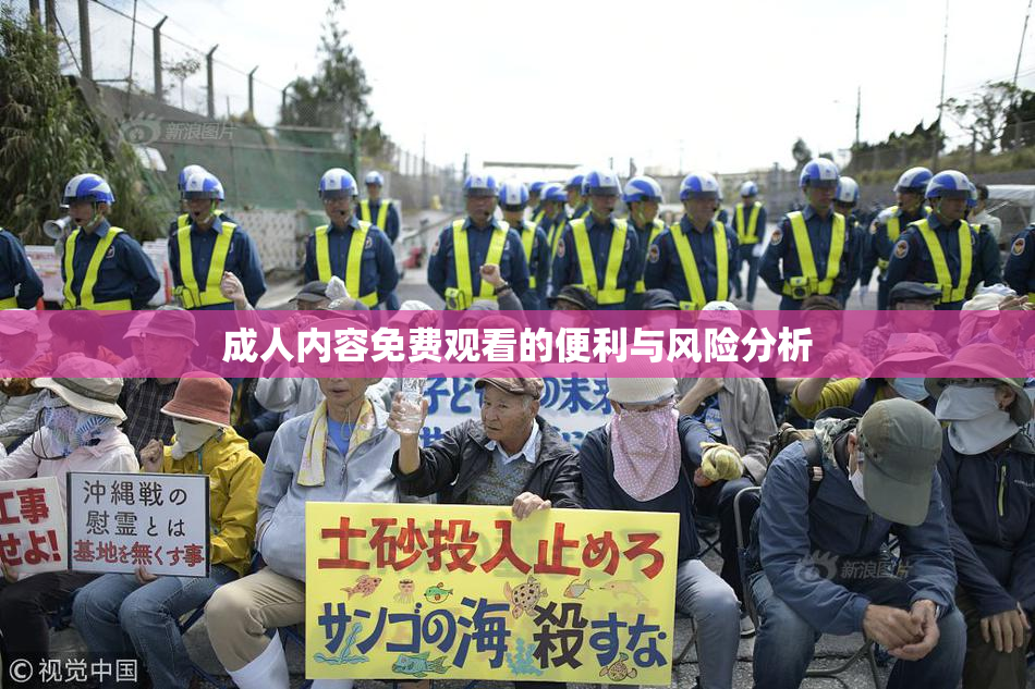 成人内容免费观看的便利与风险分析