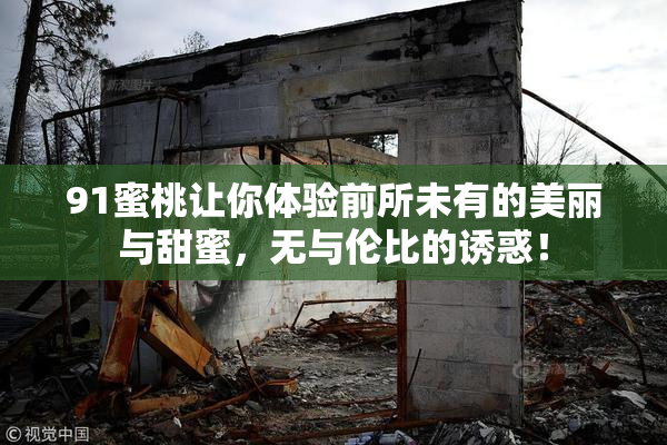 91蜜桃让你体验前所未有的美丽与甜蜜，无与伦比的诱惑！