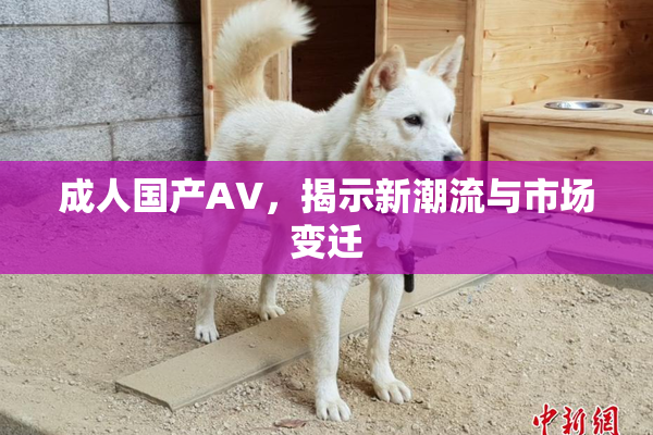 成人国产AV，揭示新潮流与市场变迁
