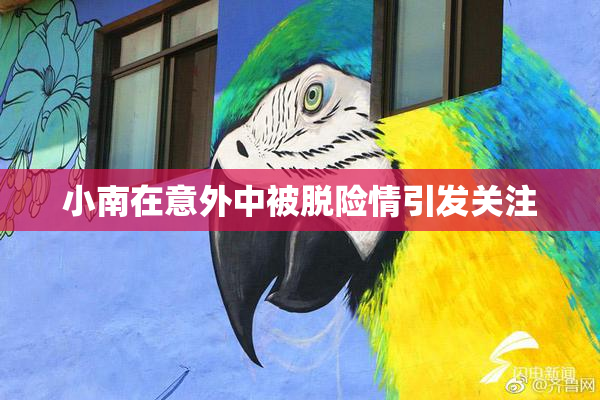 小南在意外中被脱险情引发关注