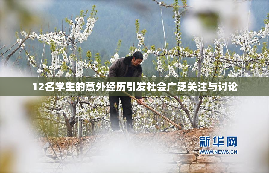 12名学生的意外经历引发社会广泛关注与讨论