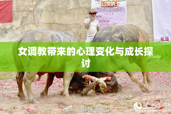女调教带来的心理变化与成长探讨