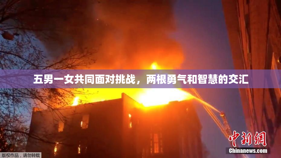 五男一女共同面对挑战，两根勇气和智慧的交汇