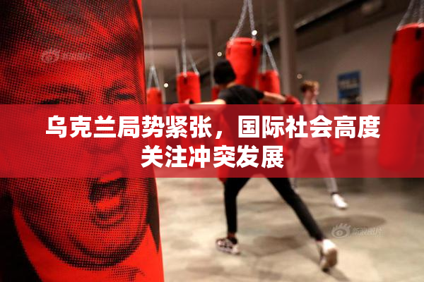 乌克兰局势紧张，国际社会高度关注冲突发展