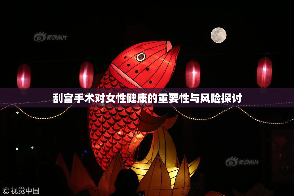 刮宫手术对女性健康的重要性与风险探讨