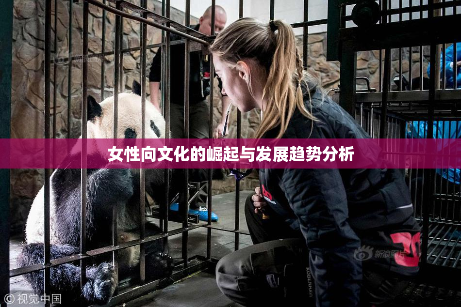 女性向文化的崛起与发展趋势分析