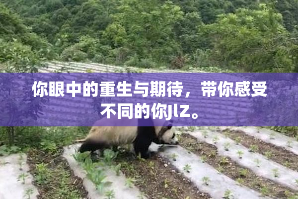 你眼中的重生与期待，带你感受不同的你JlZ。
