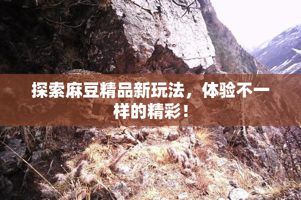 探索麻豆精品新玩法，体验不一样的精彩！