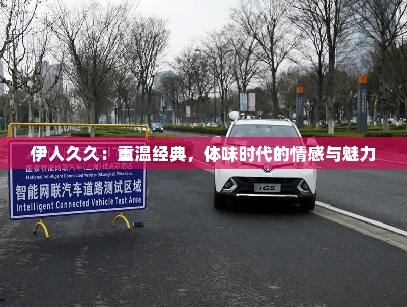 伊人久久：重温经典，体味时代的情感与魅力