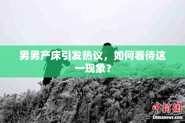 男男产床引发热议，如何看待这一现象？