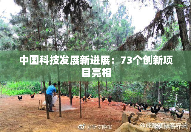 中国科技发展新进展：73个创新项目亮相