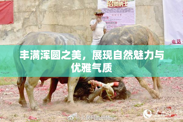 丰满浑圆之美，展现自然魅力与优雅气质