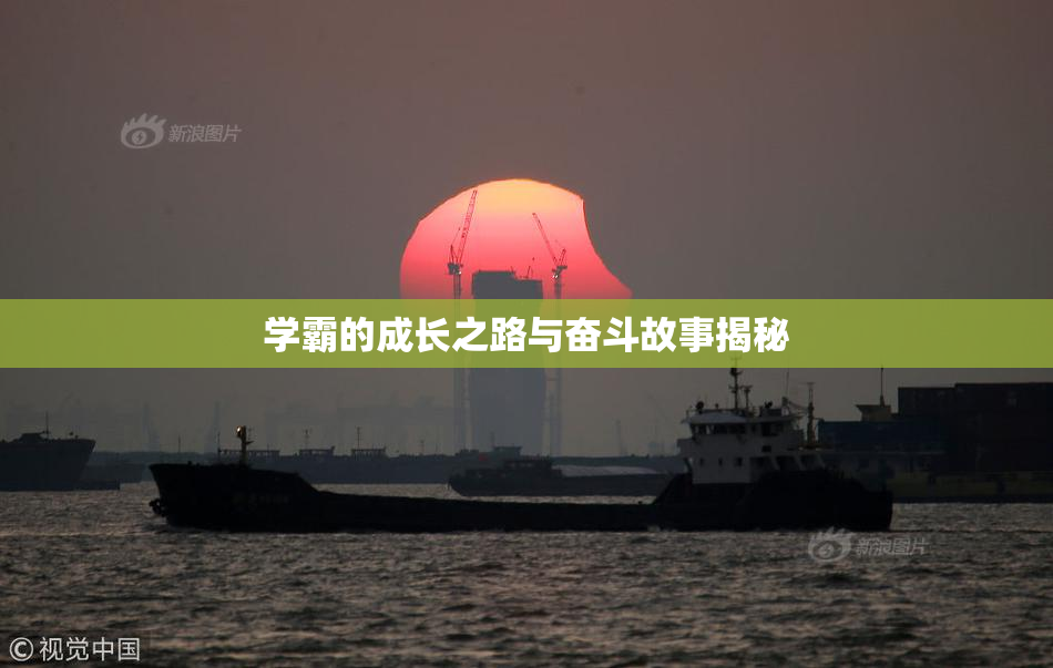 学霸的成长之路与奋斗故事揭秘