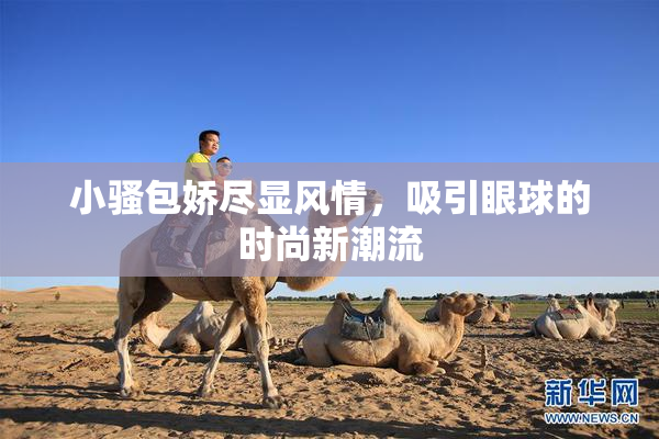 小骚包娇尽显风情，吸引眼球的时尚新潮流