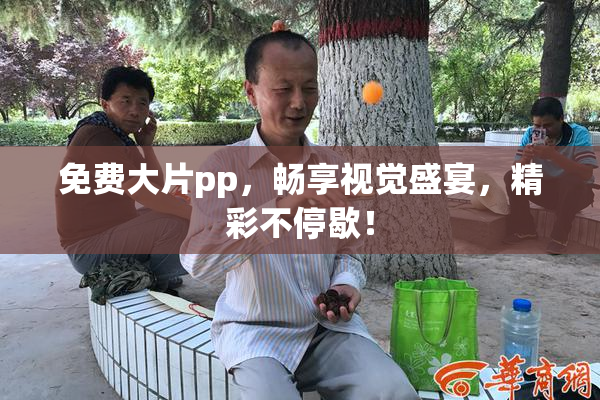 免费大片pp，畅享视觉盛宴，精彩不停歇！