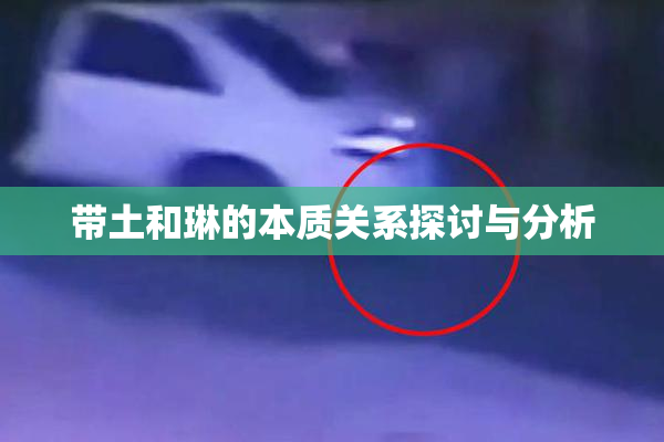 带土和琳的本质关系探讨与分析