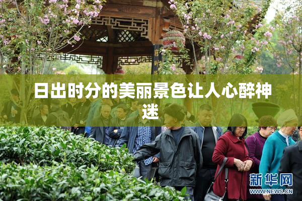日出时分的美丽景色让人心醉神迷