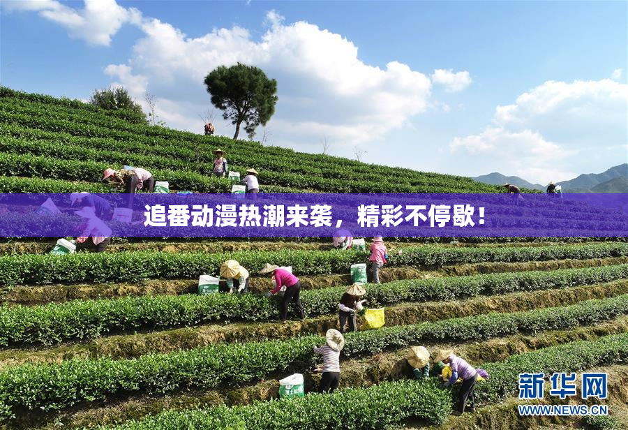 追番动漫热潮来袭，精彩不停歇！