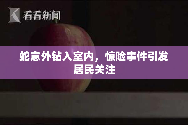 蛇意外钻入室内，惊险事件引发居民关注