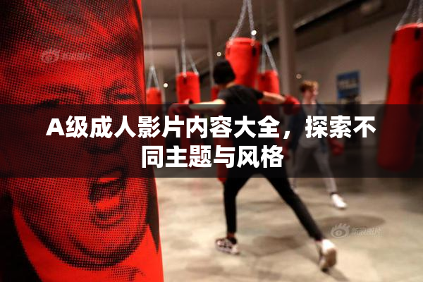 A级成人影片内容大全，探索不同主题与风格