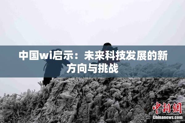 中国wi启示：未来科技发展的新方向与挑战